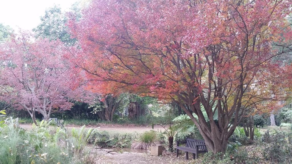 Babbling Brook Bed & Breakfast Pietermaritzburg Bagian luar foto