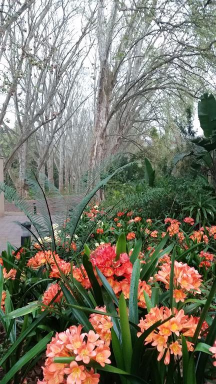 Babbling Brook Bed & Breakfast Pietermaritzburg Bagian luar foto