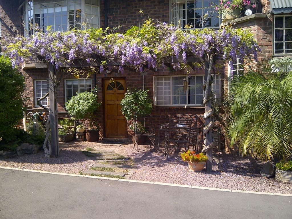Babbling Brook Bed & Breakfast Pietermaritzburg Bagian luar foto
