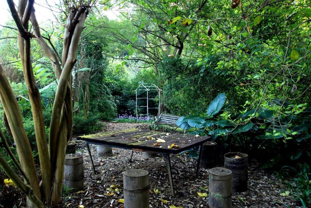 Babbling Brook Bed & Breakfast Pietermaritzburg Bagian luar foto