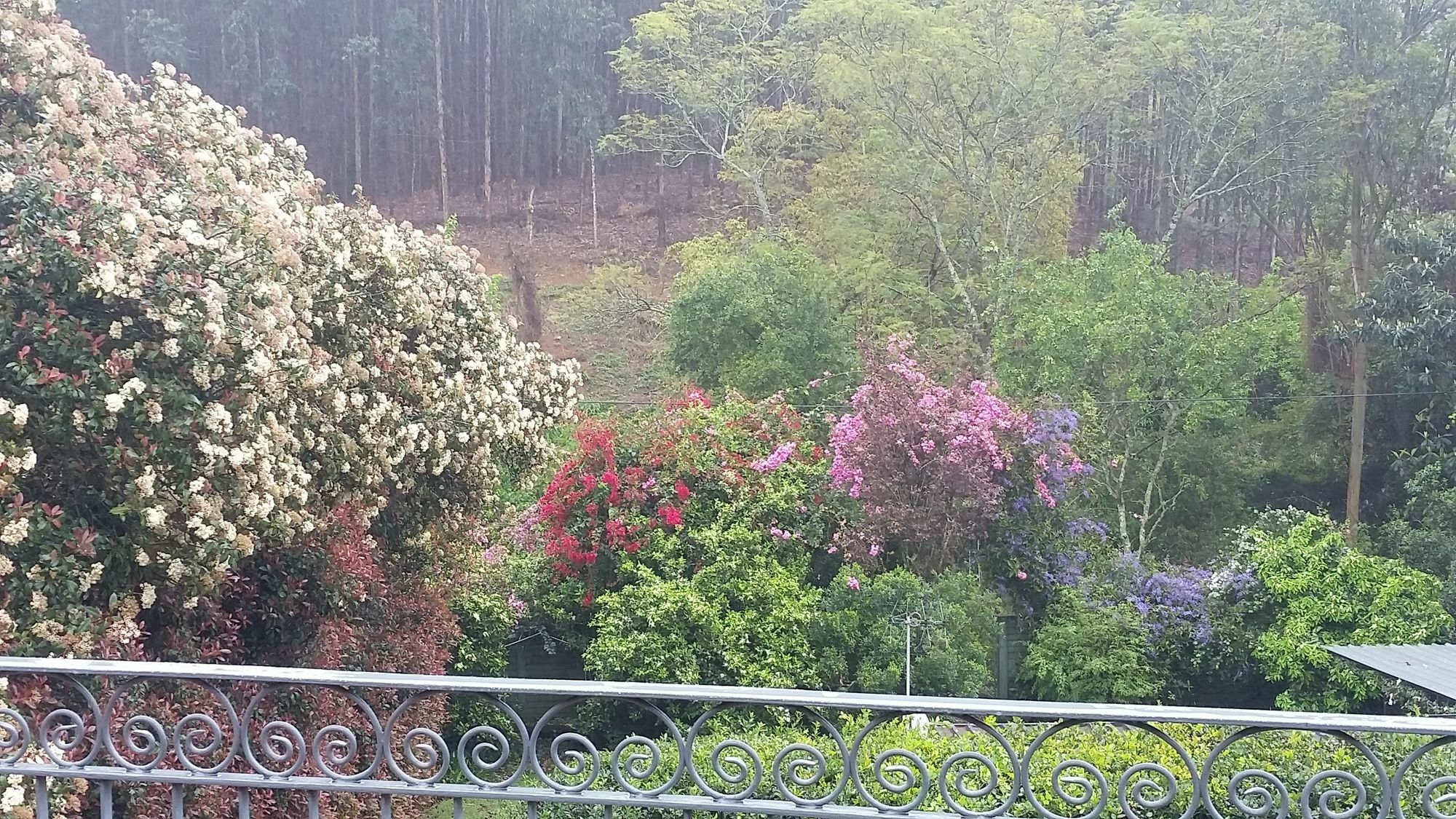 Babbling Brook Bed & Breakfast Pietermaritzburg Bagian luar foto